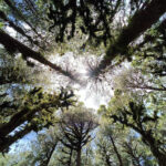 Parque Ecológico