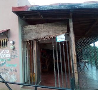 Flavio Servicios