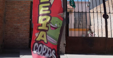 Papeleria Gargoz