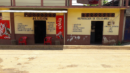 Papeleria y novedades "allison"