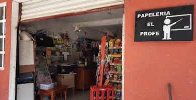 Papeleria el profe