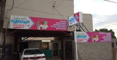 PAPELERIA E INTERNET DANYS