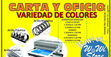 Papelería WaWi Store Infonavit Los Laguitos