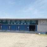 Serasur Servicios Aduanales Del Sur