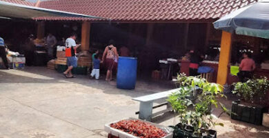 Mercado Municipal "José Del Carmen"