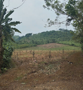 Limar tila Chiapas