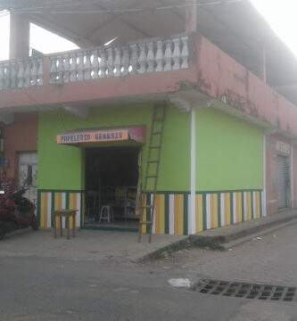 Papelería Génesis