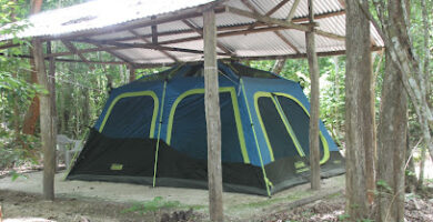 Campamento Yaax'che
