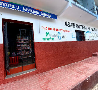 Abarrotes y Papelería *Géminis*
