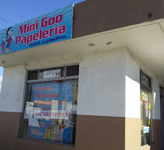 Minigoo papeleria