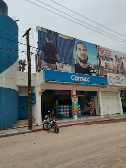 Tienda Comex Calvillo