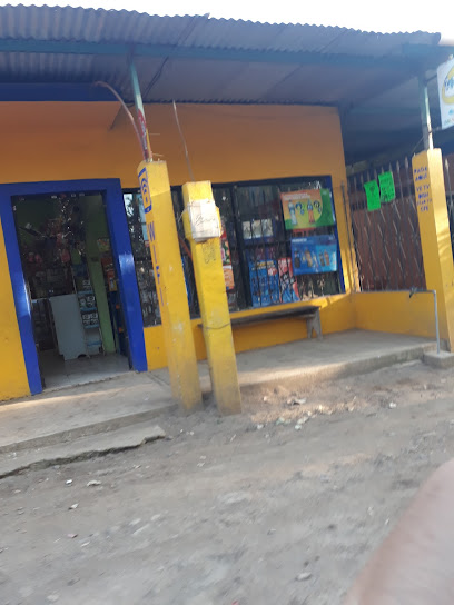 Ciber zona web morelos