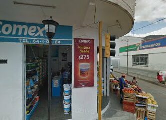Tienda Comex