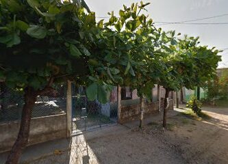 BOMSSA TONALA