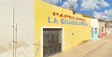 Papeleria La Guadalupana