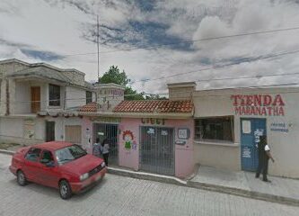 Papelería el Gusanito