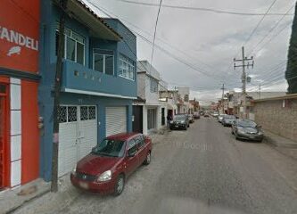 Creacines hormiguita