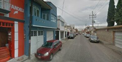 Creacines hormiguita